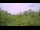 Webcam in Metairie, Louisiana, 269 km