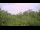 Webcam in Metairie, Louisiana, 86.7 km