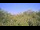 Webcam in Metairie, Louisiana, 11.1 km