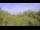 Webcam in Metairie, Louisiana, 12.2 km
