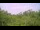 Webcam in Metairie, Louisiana, 33.5 mi away