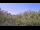 Webcam in Metairie, Louisiane, 5.3 km