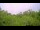 Webcam in Metairie, Louisiana, 262 km entfernt