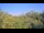 Webcam in Metairie, Louisiana, 259 km
