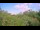 Webcam in Metairie, Louisiana, 259 km