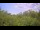 Webcam in Metairie, Louisiana, 196.9 km