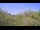 Webcam in Metairie, Louisiana, 122.3 mi away