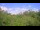 Webcam in Metairie, Louisiana, 4.3 mi away