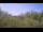 Webcam in Metairie, Louisiana, 2.7 mi away