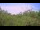 Webcam in Metairie, Louisiana, 76 mi away