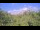Webcam in Metairie, Louisiana, 158.1 km entfernt