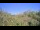 Webcam in Metairie, Louisiana, 89.4 mi away