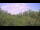 Webcam in Metairie, Louisiana, 86.8 km