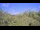Webcam in Metairie, Louisiana, 8.1 mi away