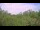 Webcam in Metairie, Louisiana, 268.8 km entfernt
