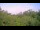 Webcam in Metairie, Louisiana, 122.5 mi away
