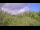 Webcam in Metairie, Louisiana, 17.7 km