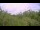 Webcam in Metairie, Louisiana, 2.7 mi away