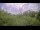 Webcam in Metairie, Louisiana, 110.7 mi away