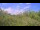 Webcam in Metairie, Louisiana, 99.9 mi away