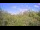 Webcam in Metairie, Louisiana, 4.3 mi away