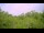 Webcam in Metairie, Louisiana, 6.9 km entfernt