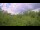 Webcam in Metairie, Louisiana, 200.8 km