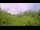 Webcam in Metairie, Louisiana, 4.3 mi away