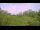 Webcam in Metairie, Louisiana, 142 mi away