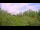 Webcam in Metairie, Louisiana, 142 mi away