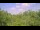 Webcam in Metairie, Louisiana, 110.4 mi away