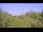 Webcam in Metairie, Louisiana, 17.7 km