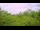 Webcam in Metairie, Louisiana, 95.9 mi away