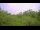 Webcam in Metairie, Louisiana, 142 mi away
