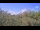 Webcam in Metairie, Louisiane, 317.6 km