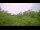 Webcam in Metairie, Louisiana, 27.5 mi away