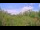 Webcam in Metairie, Louisiana, 132 mi away