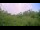 Webcam in Metairie, Louisiana, 352.5 km entfernt
