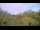 Webcam in Metairie, Louisiane, 17.7 km