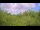 Webcam in Metairie, Louisiana, 248.6 km