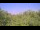 Webcam in Metairie, Louisiane, 12.2 km