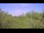 Webcam in Metairie, Louisiana, 165.3 km entfernt