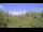 Webcam in Metairie, Louisiana, 7 km entfernt