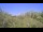 Webcam in Metairie, Louisiana, 2.7 mi away