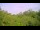 Webcam in Metairie, Louisiana, 4.3 mi away