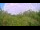 Webcam in Metairie, Louisiana, 259 km