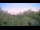 Webcam in Metairie, Louisiana, 2.1 mi away
