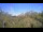 Webcam in Metairie, Louisiana, 6.8 mi away