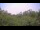 Webcam in Metairie, Louisiana, 110.4 mi away