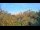 Webcam in Metairie, Louisiana, 76 mi away